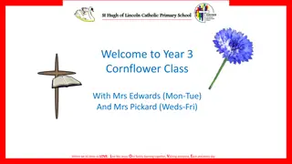 Year 3 Cornflower Class Schedule and Updates