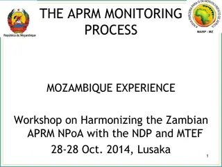 Monitoring Process in Mozambique: Lessons from APRM Workshop