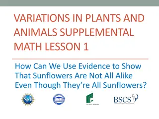 Exploring Sunflower Variations with Scientific Evidence