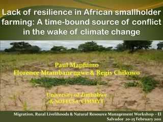 Enhancing Resilience in African Smallholder Farming: A Collaborative Approach