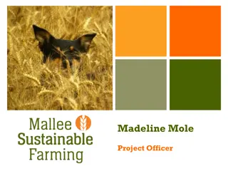 Mallee Sustainable Farming - Empowering Agriculture in Southeastern Australia