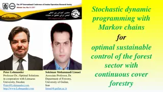 Optimal Sustainable Control of Forest Sector with Stochastic Dynamic Programming and Markov Chains