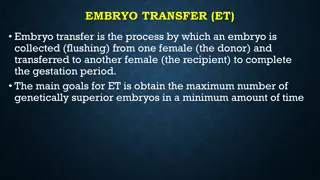 Embryo Transfer in Cattle: Benefits, Process, and Considerations