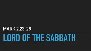 Insights from the Bible: The Sabbath Day, Corn Fields, and the Pharisees