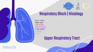 Nasal Cavity Histology and Respiratory Structures