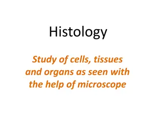 Introduction to Histology: Study of Cells, Tissues, and Organs