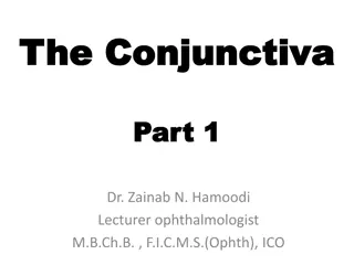 The Anatomy and Histology of the Conjunctiva