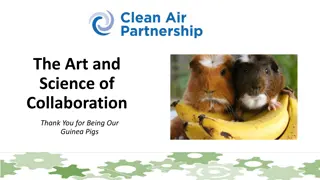 The Art and Science of Collaboration: Insights and Workshops