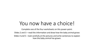 Baby Animal Growth with Worksheets