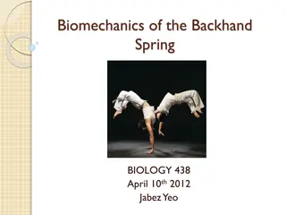 Biomechanics of the Backhand Spring Movement