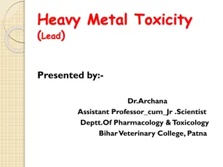 Lead Toxicity: Sources, Symptoms, and Treatment in Animals