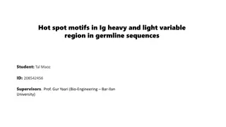 Hot Spot Motifs in Ig Heavy and Light Variable Region Sequences