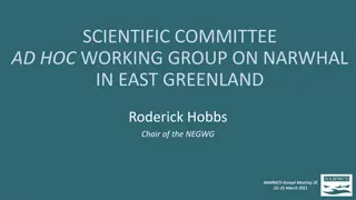 Scientific Committee Ad Hoc Working Group on Narwhal in East Greenland - NAMMCO Annual Meeting 2021