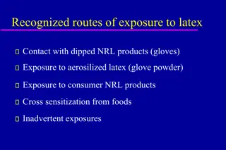 Latex Exposure: Routes and Risks