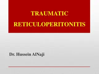 Traumatic Reticuloperitonitis in Cattle