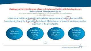 Challenges of Inspection Program Related to Radiation Sources Facilities