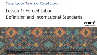 Cocoa Supplier Training on Forced Labour: International Standards & Definitions