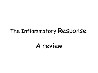 The Inflammatory Response Mechanism