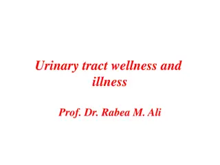 Understanding Urinary Tract Wellness and Illness with Prof. Dr. Rabea M. Ali