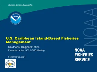 Island-Based Fisheries Management in the U.S. Caribbean Region