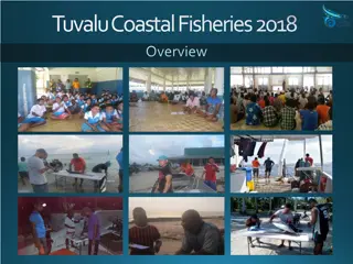 Tuvalu Coastal Fisheries 2018 Overview and Current Activities