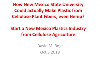 Revolutionizing Plastics: Making Cellulose-Based Plastic from Hemp in New Mexico