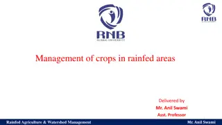 Efficient Crop Management in Rainfed Areas by Mr. Anil Swami