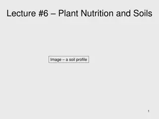 Plant Nutrition and Soils: Essential Elements and Resource Requirements