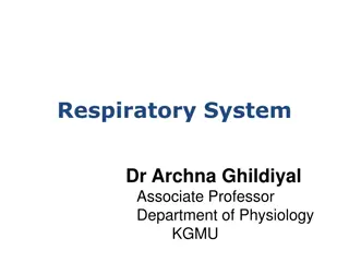 Respiratory System: Lectures on Alveoli Stability, Compliance, and More