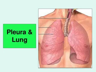 Pleura and Lung Anatomy