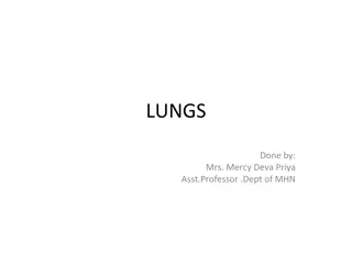 Understanding the Anatomy of Lungs