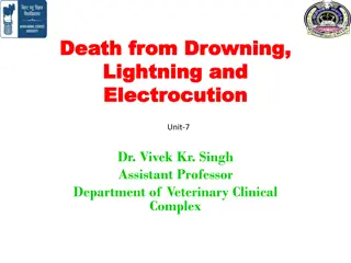 Drowning, Lightning, and Electrocution in Veterinary Medicine