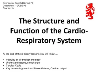 The Cardio-Respiratory System in GCSE PE