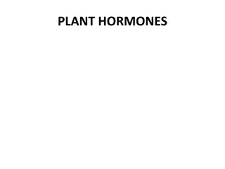 Plant Hormones and Their Role in Growth and Development