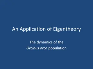 Dynamics of Orcinus orca Population: An Application of Eigentheory