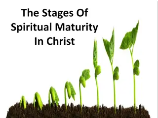 Spiritual Maturity in Christ