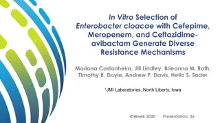 In Vitro Selection of Enterobacter cloacae Resistance Mechanisms with Antibiotics