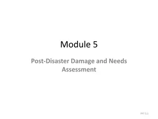 Post-Disaster Damage and Needs Assessment