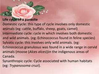 The Complexities of Parasite Life Cycles and Host Interactions