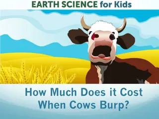 The Cost of Cattle Emissions and Climate Change Impact