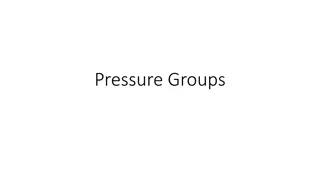 Pressure Groups and Their Influence on Decision-Making