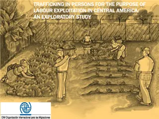 Exploring Trafficking in Persons for Labour Exploitation in Central America