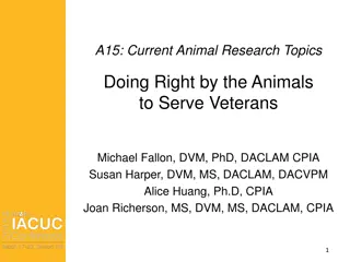 Insights on Animal Research Topics for Serving Veterans