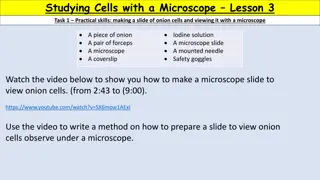 Exploring Cellular Structures: Microscopic Examination of Onion Cells