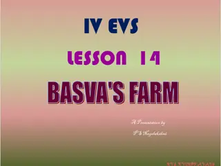 Basva's Farm - A Visual Journey Through Onion Cultivation