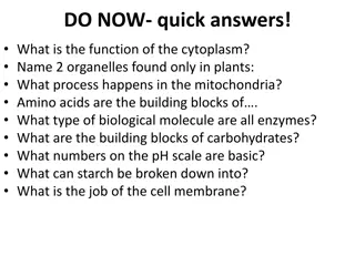 Cellular Processes and Functions Explained