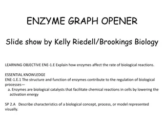 Enzymes in Biological Reactions: Understanding Activation Energy