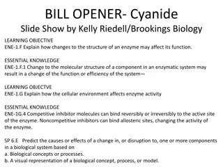 Cyanide's Impact on Respiration Through Enzyme Inhibition