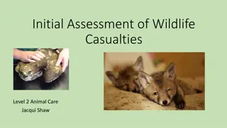 Initial Assessment of Wildlife Casualties: Equipment and Procedures