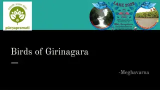 Birds of Girinagara: A Study on Avian Species and Habitats